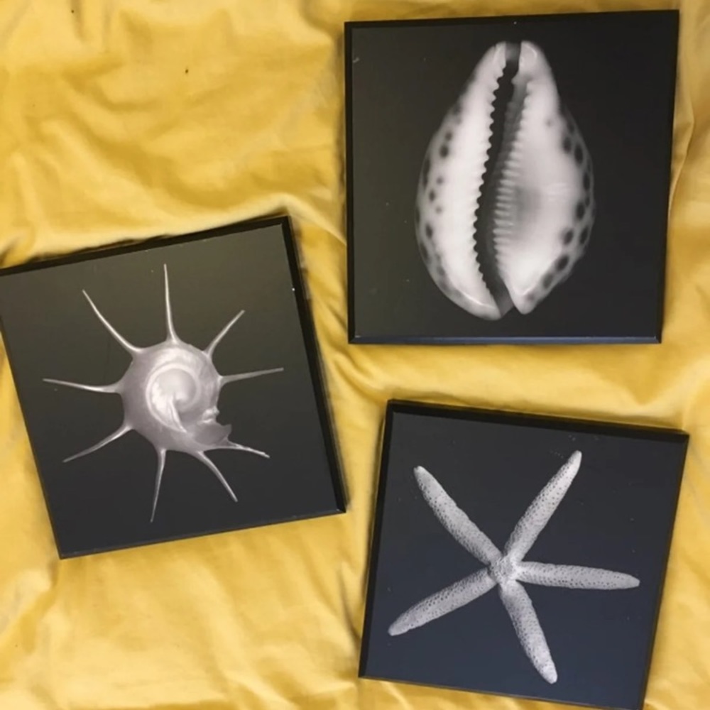 Jonathan Shuff photography bundle